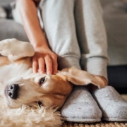 Photo of a woman sitting on a sofa while petting her adorable dog on the floor