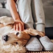 Photo of a woman sitting on a sofa while petting her adorable dog on the floor
