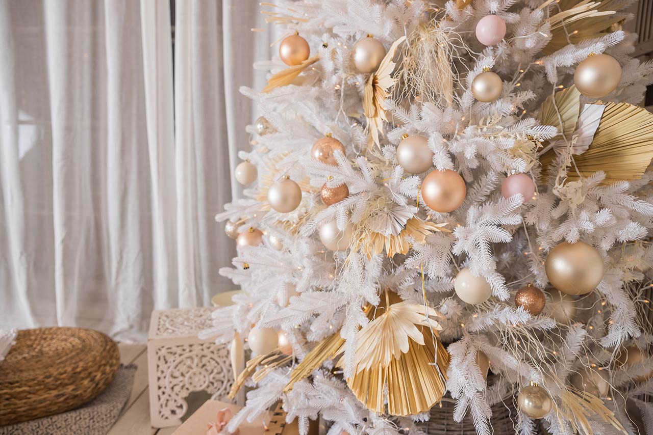 Photo of Christmas pastel decorations in a studio