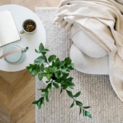 Overhead view of an open book, plant, tea and couch in living room interior design