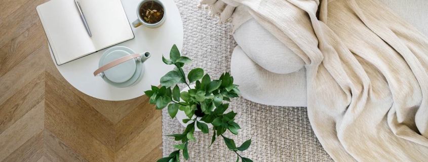 Overhead view of an open book, plant, tea and couch in living room interior design