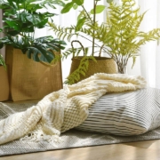 Pillow and soft blanket in relaxing living room with warm natural light and houseplants