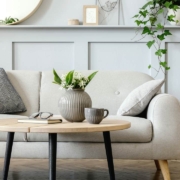 Living room interior with design grey sofa, wooden coffee table, tropical plants, shelf, mirror, furniture, plaid pillow, teapot, book and elegant personal accessories