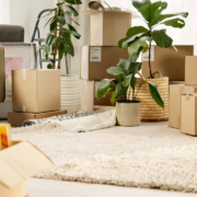 Moving boxes in a living room stock photo